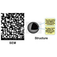 ZS814088 SLE 包埋式二氧化硅磁性微球, 基质:SiO2,表面基团:-NH2,粒径:2-3μm,单位:10mg/ml