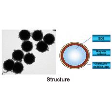 ZS814113 SLC 核壳式二氧化硅磁性微球, 基质:SiO2,表面基团:-COOH,粒径:2-3μm,单位:10mg/ml