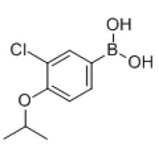 ZC921936 3-氯-4-异丙氧基苯基硼酸, 97%