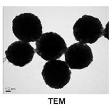 ZI814275 γ-三氧化二铁磁性微球, 基质:SiO2,表面基团:-NH2,粒径:1-2μm,单位:10mg/ml