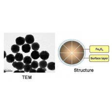 ZM814145 四氧化三铁磁性纳米微球, 基质:Fe3O4,表面基团:-SiOH,粒径:400-500 nm,单位:5mg/ml