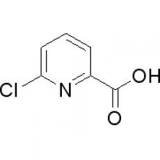 ZC905660 6-氯吡啶-2-羧酸, 97%
