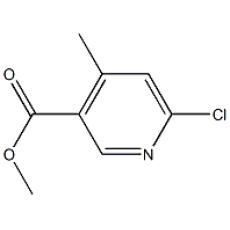 ZM927092 Methyl 6-chloro-4-methylpyridine-3-carboxylate, ≥95%