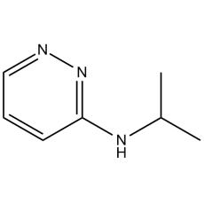 ZN824894 N-isopropylpyridazin-3-amine, ≥95%