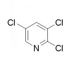 ZT919462 2,3,5-三氯吡啶, 98%