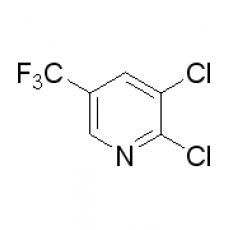 ZD907469 2,3-二氯-5-三氟甲基吡啶, 97%