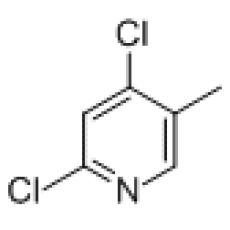 ZD929693 2,4-二氯-5-甲基吡啶, ≥95%