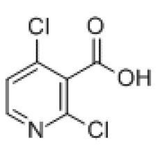 ZD929646 2,4-二氯烟酸, 98%