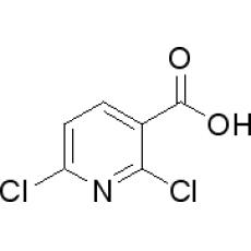 ZD808561 2,6-二氯吡啶-3-羧酸, 97%