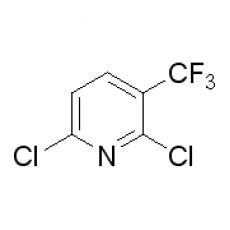 ZD907607 2,6-二氯-3-(三氟甲基)吡啶, 98%