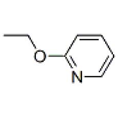 ZE835320 2-乙氧基吡啶, 98%