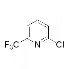 ZC805415 2-氯-6-三氟甲基吡啶, 97%
