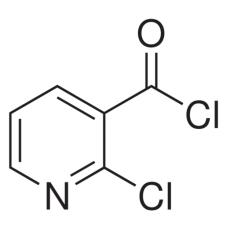 ZC905859 2-氯烟酰氯, 98.0 %