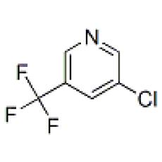 ZC806269 3-氯-5-(三氟甲基)吡啶, 97%