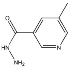 ZM927357 5-methylpyridine-3-carbohydrazide, ≥95%