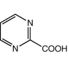 ZP816938 嘧啶-2-羧酸, 97%