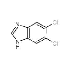 ZD934423 5,6-二氯苯并咪唑, 97%