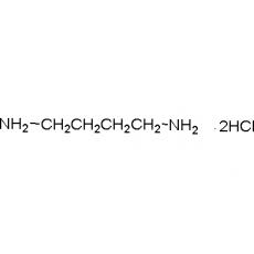 ZD806929 1,4-丁二胺双盐酸盐, 99%