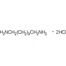 ZD907495 1,5-戊二胺盐酸盐, 98%