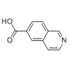 ZI925669 6-异喹啉甲酸, ≥95%