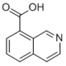ZI825211 Isoquinoline-8-carboxylic acid, ≥95%