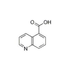 ZQ917164 喹啉-5-羧酸, 98%