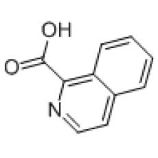 ZI911906 异喹啉羧酸, 97%