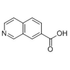 ZI925670 7-异喹啉甲酸, ≥95%