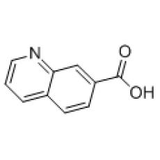 ZQ825826 7-喹啉甲酸, ≥95%
