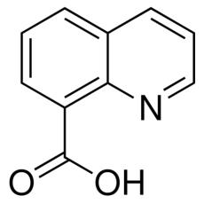 ZQ917184 8-喹啉羧酸, 98%