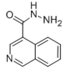 ZI825191 Isoquinoline-4-carbohydrazide, ≥95%