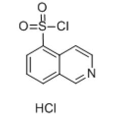 ZI926067 Isoquinoline-5-sulfonyl chloride hydrochloride, ≥95%