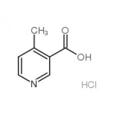 ZM928149 4-甲基烟碱盐酸盐, 95%