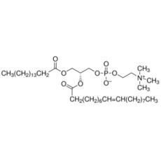 Z924213 2-油酰-1-棕榈锡甘油-3-磷酸胆碱, 99%