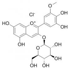 氯化矮牵牛素-3-O-葡萄糖苷分析标准品,HPLC≥95%