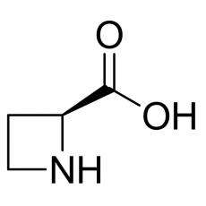 (S)-(-)-2-羧基环丁胺98%