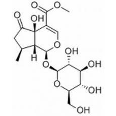 5-羟基马鞭草苷分析标准品,HPLC≥98%