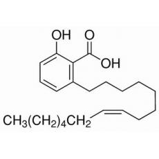 白果酸（银杏酸C15:1）分析标准品,HPLC≥98%