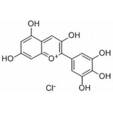 飞燕草色素分析标准品,HPLC≥97%