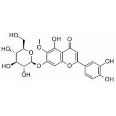 假荆芥属苷分析标准品,HPLC≥98%