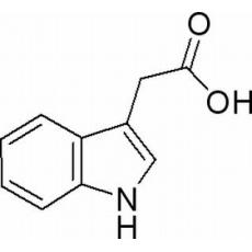 吲哚乙酸分析标准品,HPLC≥98%