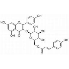 银椴苷分析标准品,HPLC≥98%