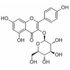 紫云英苷分析标准品,HPLC≥98%