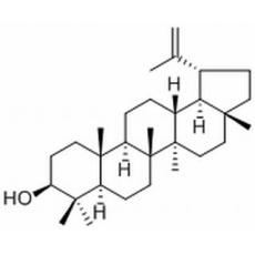 羽扇豆醇分析标准品,HPLC≥98%