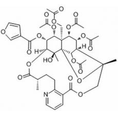 雷公藤吉碱分析标准品,HPLC≥98%