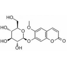 东莨菪苷分析标准品,HPLC≥98%