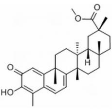 扁塑藤素分析标准品,HPLC≥98%