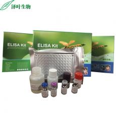 Human LRRC8C ELISA Kit