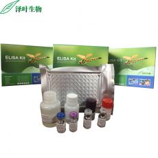 Human (ISM2)ELISA Kit