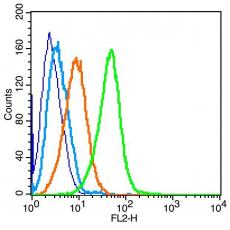 Anti-IL-4R antibody